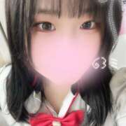 ヒメ日記 2025/11/30 11:51 投稿 ぽちゃっこ あるまぎ！