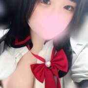 ヒメ日記 2025/12/01 13:02 投稿 ぽちゃっこ あるまぎ！