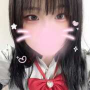 ヒメ日記 2025/12/11 11:59 投稿 ぽちゃっこ あるまぎ！