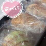 ヒメ日記 2026/02/05 11:34 投稿 ぽちゃっこ あるまぎ！