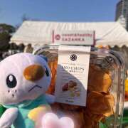 ヒメ日記 2026/03/22 11:55 投稿 ぽちゃっこ あるまぎ！