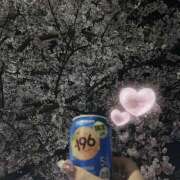 ヒメ日記 2026/04/17 11:51 投稿 ぽちゃっこ あるまぎ！