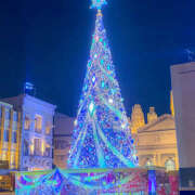 ヒメ日記 2024/12/13 11:43 投稿 ゆうり あるまぎ！