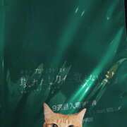 ヒメ日記 2025/03/16 12:01 投稿 ゆうり あるまぎ！