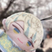 ヒメ日記 2025/04/05 13:57 投稿 ゆうり あるまぎ！