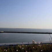 ヒメ日記 2025/06/16 11:56 投稿 ゆうり あるまぎ！