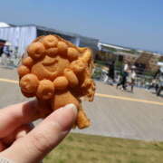 ヒメ日記 2025/06/17 11:45 投稿 ゆうり あるまぎ！