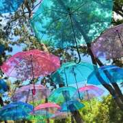 ヒメ日記 2025/06/19 11:43 投稿 ゆうり あるまぎ！