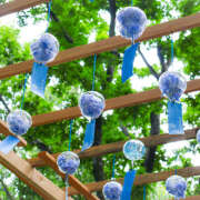 ヒメ日記 2025/06/20 11:49 投稿 ゆうり あるまぎ！