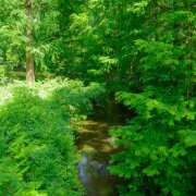 ヒメ日記 2025/06/21 11:54 投稿 ゆうり あるまぎ！