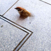 ヒメ日記 2025/06/22 12:44 投稿 ゆうり あるまぎ！