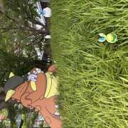 ヒメ日記 2025/07/11 13:22 投稿 ゆうり あるまぎ！