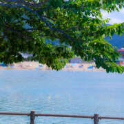 ヒメ日記 2025/07/25 12:04 投稿 ゆうり あるまぎ！