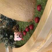 ヒメ日記 2025/08/29 12:28 投稿 ゆうり あるまぎ！