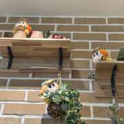 ヒメ日記 2025/08/30 12:11 投稿 ゆうり あるまぎ！