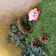 ヒメ日記 2025/08/31 13:27 投稿 ゆうり あるまぎ！