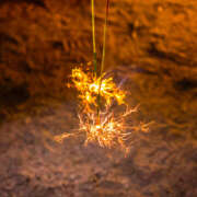 ヒメ日記 2025/10/14 13:15 投稿 ゆうり あるまぎ！