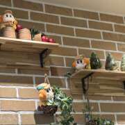 ヒメ日記 2025/11/17 13:45 投稿 ゆうり あるまぎ！