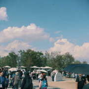 ヒメ日記 2025/11/20 12:54 投稿 ゆうり あるまぎ！