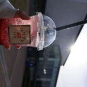 ヒメ日記 2025/11/24 12:33 投稿 ゆうり あるまぎ！