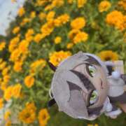 ヒメ日記 2025/11/28 15:01 投稿 ゆうり あるまぎ！