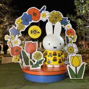 ヒメ日記 2026/03/20 13:01 投稿 ゆうり あるまぎ！