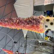 ヒメ日記 2026/04/29 12:01 投稿 ゆうり あるまぎ！