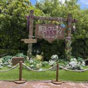 ヒメ日記 2026/06/13 11:35 投稿 ゆうり【あるまぎ！】 あるまぎ！