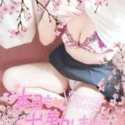 ヒメ日記 2025/04/19 09:57 投稿 広瀬 ひなた 汝々艶 梅田店