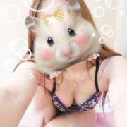 ヒメ日記 2025/06/25 12:09 投稿 広瀬 ひなた 汝々艶 梅田店