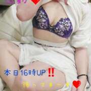 ヒメ日記 2025/11/14 10:18 投稿 広瀬 ひなた 汝々艶 梅田店