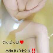 ヒメ日記 2025/12/03 21:40 投稿 広瀬 ひなた 汝々艶 梅田店