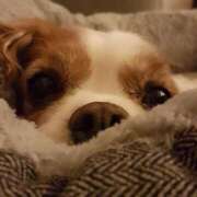 ヒメ日記 2025/05/14 17:20 投稿 菊宮小羽奈 お姉さんCLUB