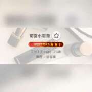 ヒメ日記 2025/09/08 15:06 投稿 菊宮小羽奈 お姉さんCLUB