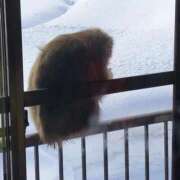 ヒメ日記 2025/09/18 16:39 投稿 菊宮小羽奈 お姉さんCLUB