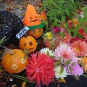 ヒメ日記 2025/11/01 14:03 投稿 菊宮小羽奈 お姉さんCLUB