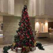 ヒメ日記 2025/12/08 21:19 投稿 菊宮小羽奈 お姉さんCLUB