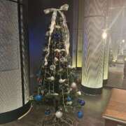 ヒメ日記 2025/12/12 17:04 投稿 菊宮小羽奈 お姉さんCLUB