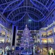 ヒメ日記 2025/12/16 16:19 投稿 菊宮小羽奈 お姉さんCLUB