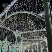 ヒメ日記 2025/12/26 16:33 投稿 菊宮小羽奈 お姉さんCLUB