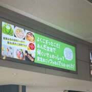 ヒメ日記 2026/01/10 15:48 投稿 菊宮小羽奈 お姉さんCLUB