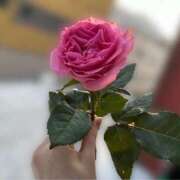 ヒメ日記 2026/01/12 15:48 投稿 菊宮小羽奈 お姉さんCLUB