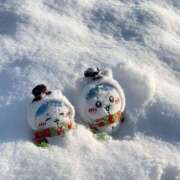 ヒメ日記 2026/01/12 22:04 投稿 菊宮小羽奈 お姉さんCLUB