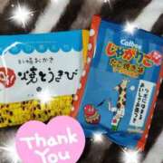 ヒメ日記 2024/06/20 01:07 投稿 いずみ 石川小松ちゃんこ