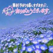 ヒメ日記 2024/07/08 11:17 投稿 いずみ 石川小松ちゃんこ