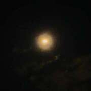 ヒメ日記 2026/02/05 15:29 投稿 マリン CHIANTI OKINAWA