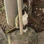 ヒメ日記 2026/02/22 19:29 投稿 マリン CHIANTI OKINAWA