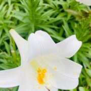 ヒメ日記 2026/04/22 19:35 投稿 マリン CHIANTI OKINAWA