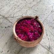 ヒメ日記 2026/04/26 12:34 投稿 マリン CHIANTI OKINAWA