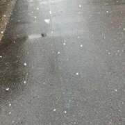 ヒメ日記 2025/03/19 08:50 投稿 なぎ なでし娘